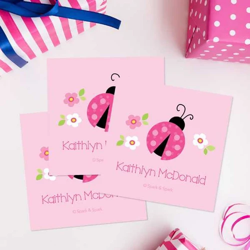 Sweet Pink Lady Bug Gift Label Set