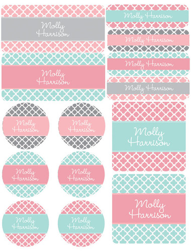 Sweet Pink Quatrefoils Waterproof Labels Variety Pack (Set of 56)
