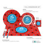 Fun Spider Web Kids Placemats