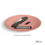 Spark & Spark Urban Skate Pink Custom Plate for Girls, pink skateboarding deck with graphic design and the name Veronica on it.