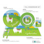 Spark & Spark Llama Land Kids Bowl, colorful children's dinnerware set featuring a llama, mountains, and cacti with the name Gabriela on each piece.
