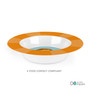 Cute Baby Lion Kids Plate