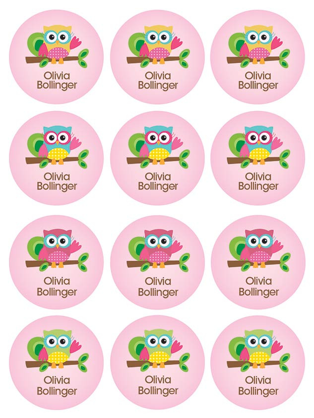 Hello Little Owl Waterproof Labels for Kids (Set of 48)