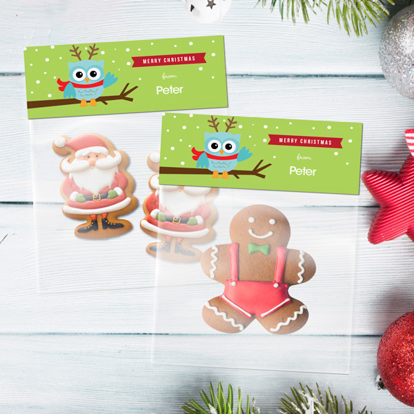 Xmas Baby Blue Owl Treat Bags