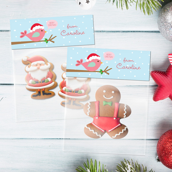 Cute Xmas Birdie Treat Bags