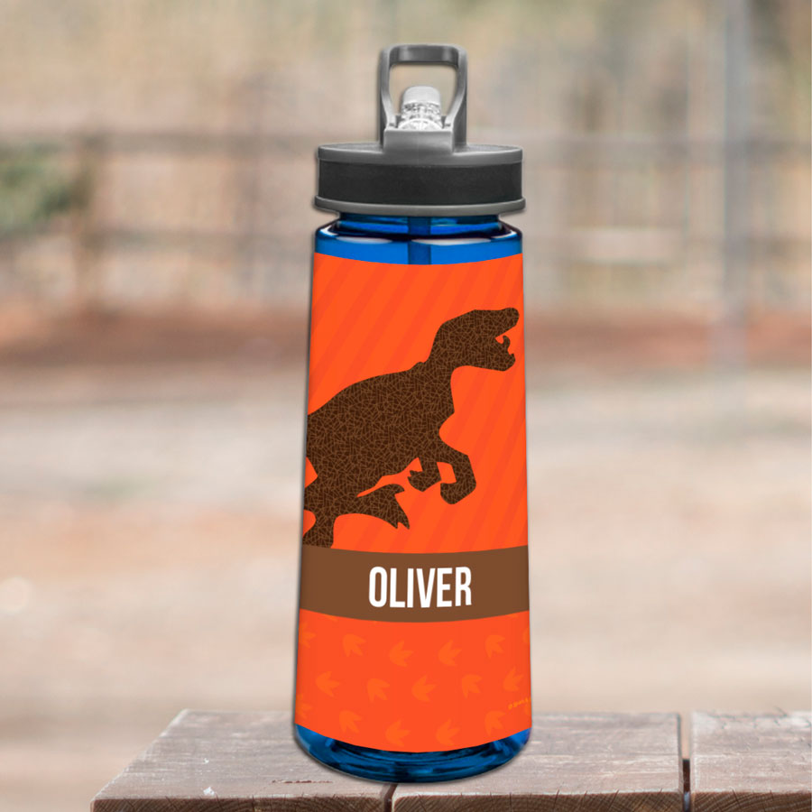 Dino and Me Orange Sports Water Bottle