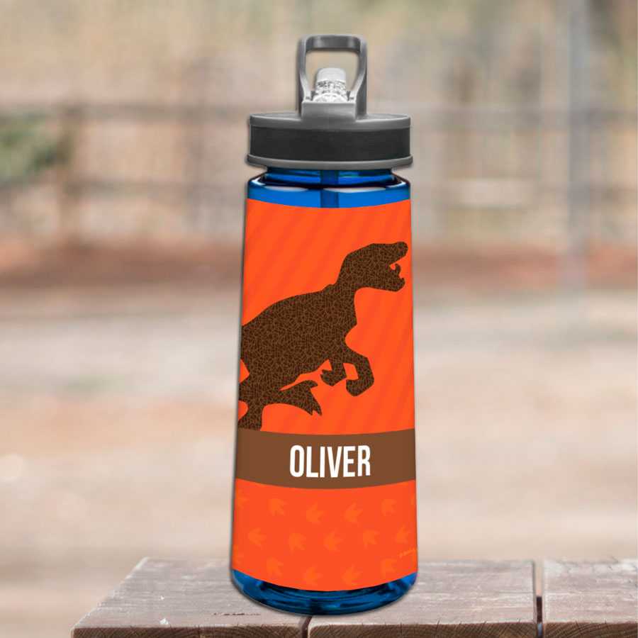 Dino and Me Orange Sports Water Bottle