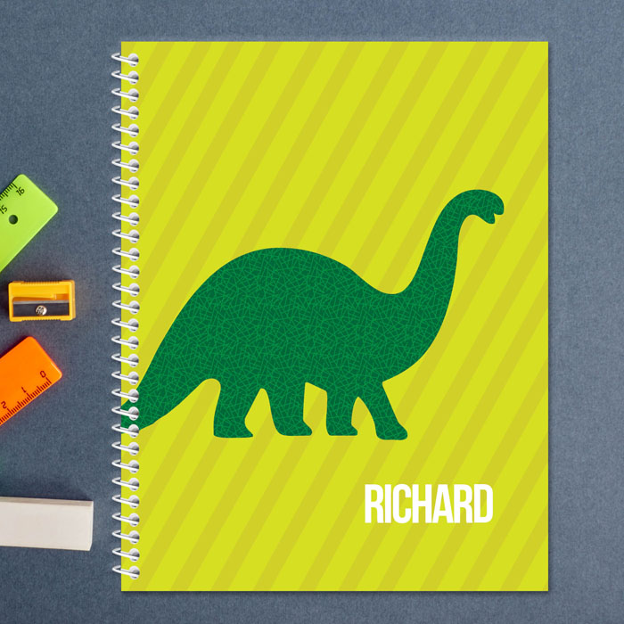 Dino and Me Green Kids Notebook