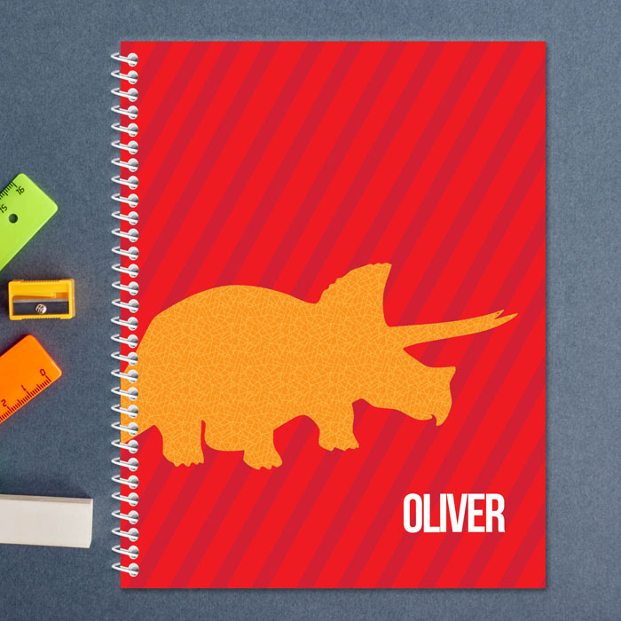 Dino and Me Red Kids Notebook