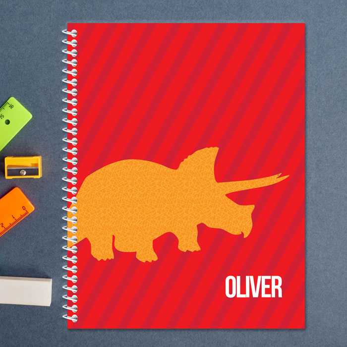 Dino and Me Red Kids Notebook