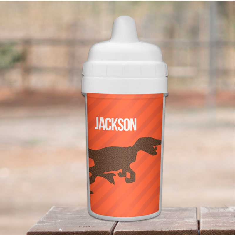 Dino and Me Orange Sippy Cup