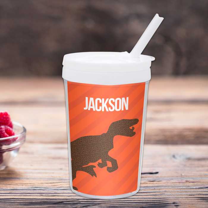 Dino and Me Orange Toddler Cup