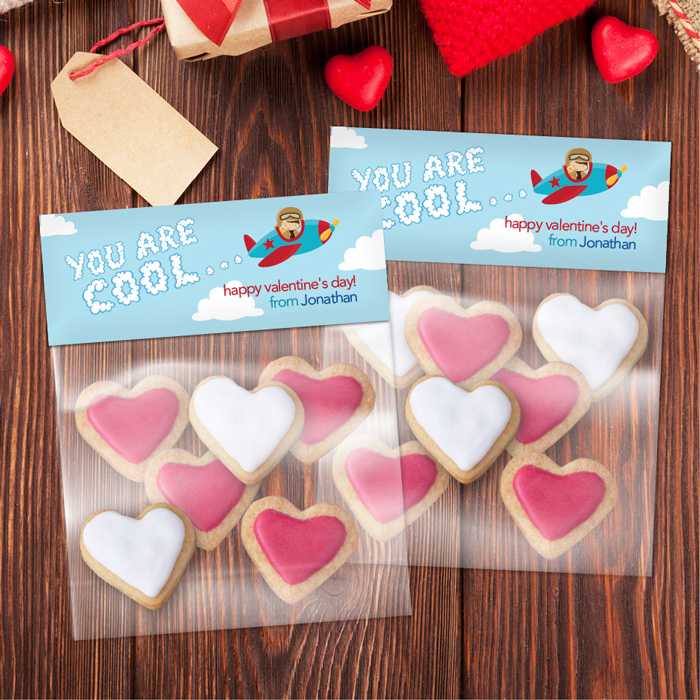You are Cool Treat Bags