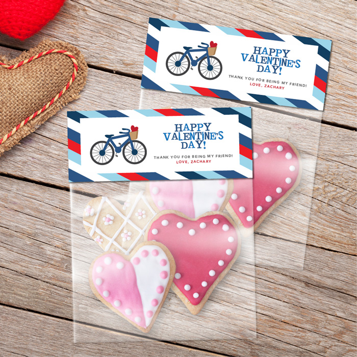 A Boy Love Ride Treat Bags