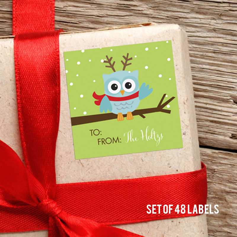 Xmas Baby Blue Owl Square Gift Label Set