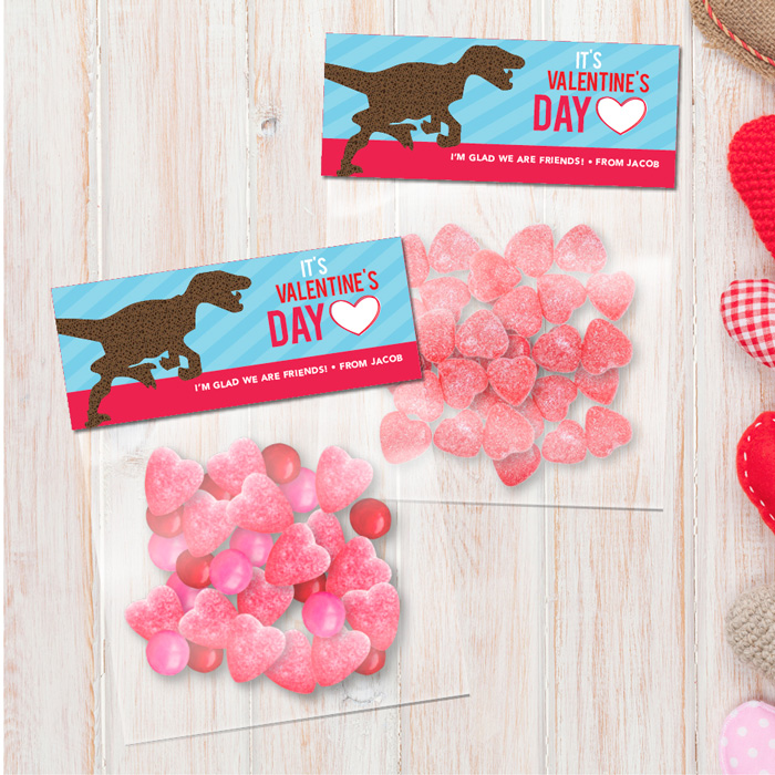 Dino Love Treat Bags