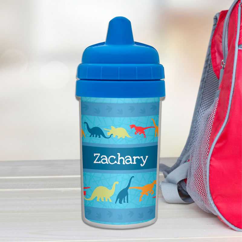 Dinosaur Trails Sippy Cup