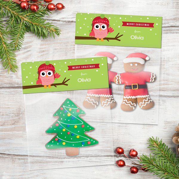 Xmas Baby Pink Owl Treat Bags