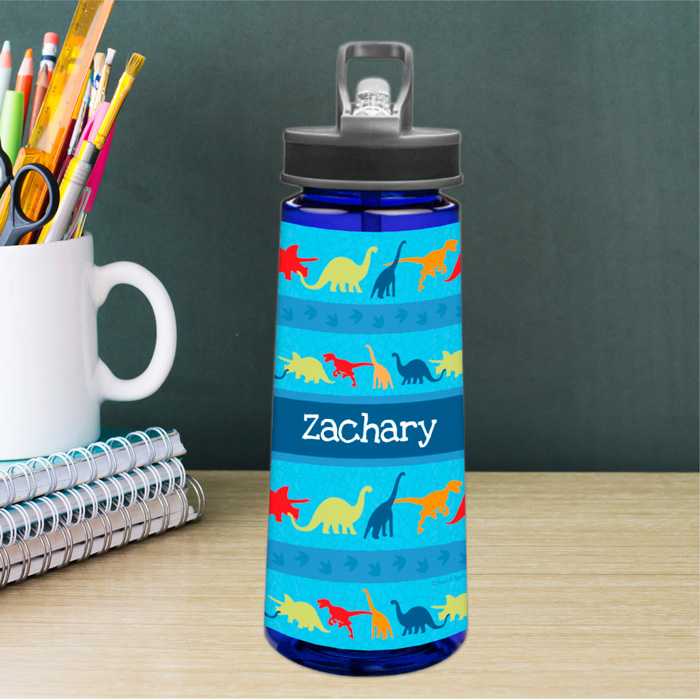 Dinosaur Trails Sports Water Bottle