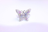 .925 S. Silver Spring Butterfly