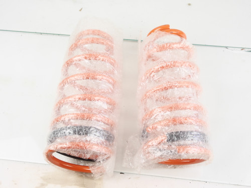 2G DSM Front Lowering Springs (Megan Brand)