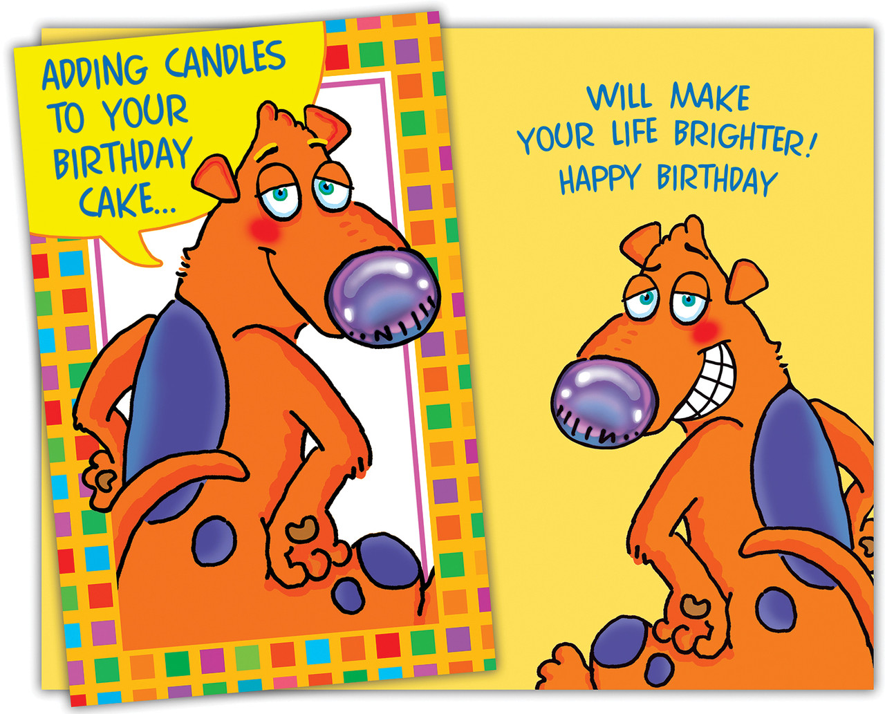 94137 Six Funny Birthday General Greeting Cards With Six Envelopes For  $ - Stockwell Greetings