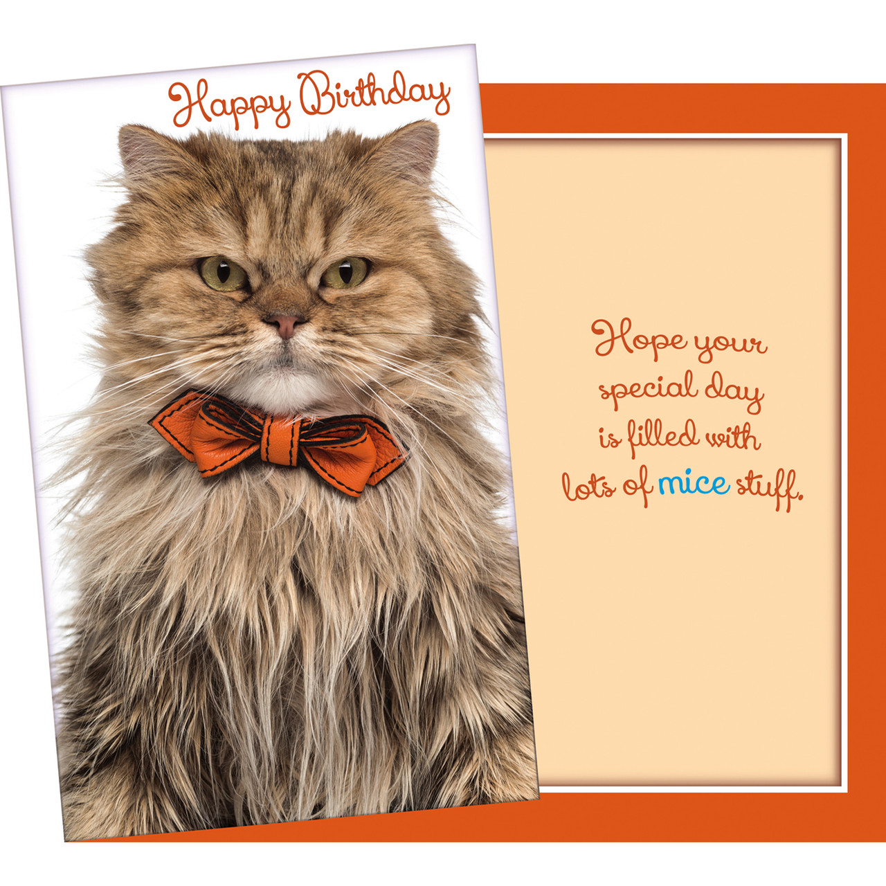 bulk greeting cards, american made greeting cards, popular greeting