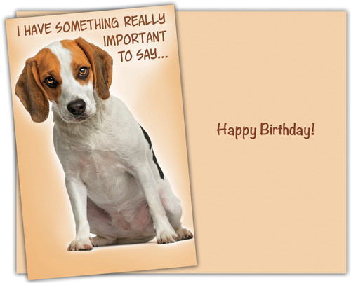 dog birthday greeting cards