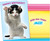 birthday cards, wholesale greeting cards, discount greeting cards, greeting cards