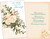 wedding greeting card, bride and groom, for your wedding, greeting card deals