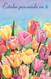 Spanish greeting cards wholesale