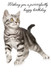 animal greeting card