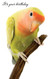 hello greeting card