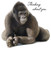 thinking of you greeting card