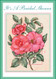 packaged note greeting cards