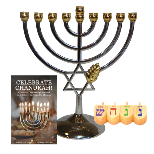 The Family Chanukah Kit