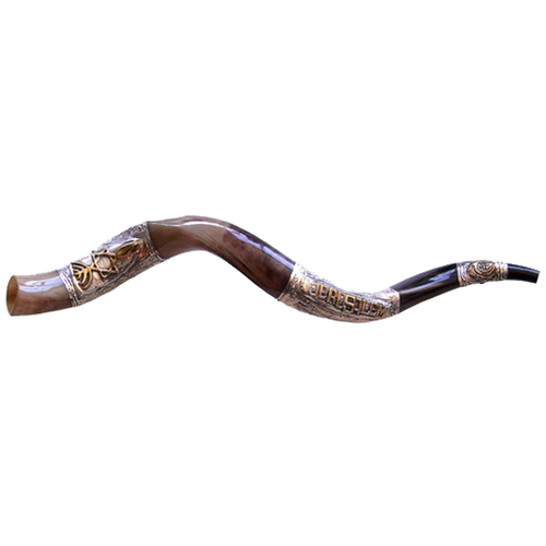 Large Silver-Trimmed Kudu Shofar (3073)