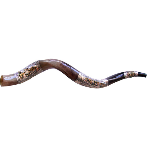 Large SilverTrimmed Kudu Shofar (3073) Jewish Voice