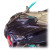 Polaris 2025+ Pro Series Hood Scoop