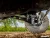 Can-Am Maverick R High Clearance Rear Trailing Arms