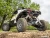 Can-Am Maverick R High Clearance Rear Trailing Arms