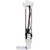 Polaris Ranger Fuel Pump Assembly