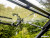 Polaris RZR Pro XP Scratch Resistant Flip Windshield