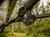 Can-Am Maverick Trail-Sport Curved Rear View Mirror