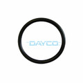 DTG12 Thermostat Seal