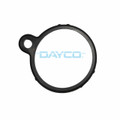 DTG32 Thermostat Seal