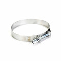 P148343 T-bolt Clamp s/s 4" Dia 431
