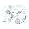 Ford Falcon 5L V8 EF EL XR8 (1994-98) Belt & Nuline Pulley Upgrade Kit WBPK17N