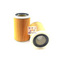 WA1122 Wesfil Air Filter for Mazda Ford (Cross Ref: A1447)