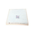 WACF0197 Wesfil Cabin Filter for Mitsubishi (Cross Ref: RCA321P)